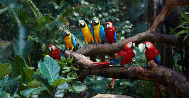 广州长隆酒店童趣乐园,广州游玩长隆性价比超高的酒店