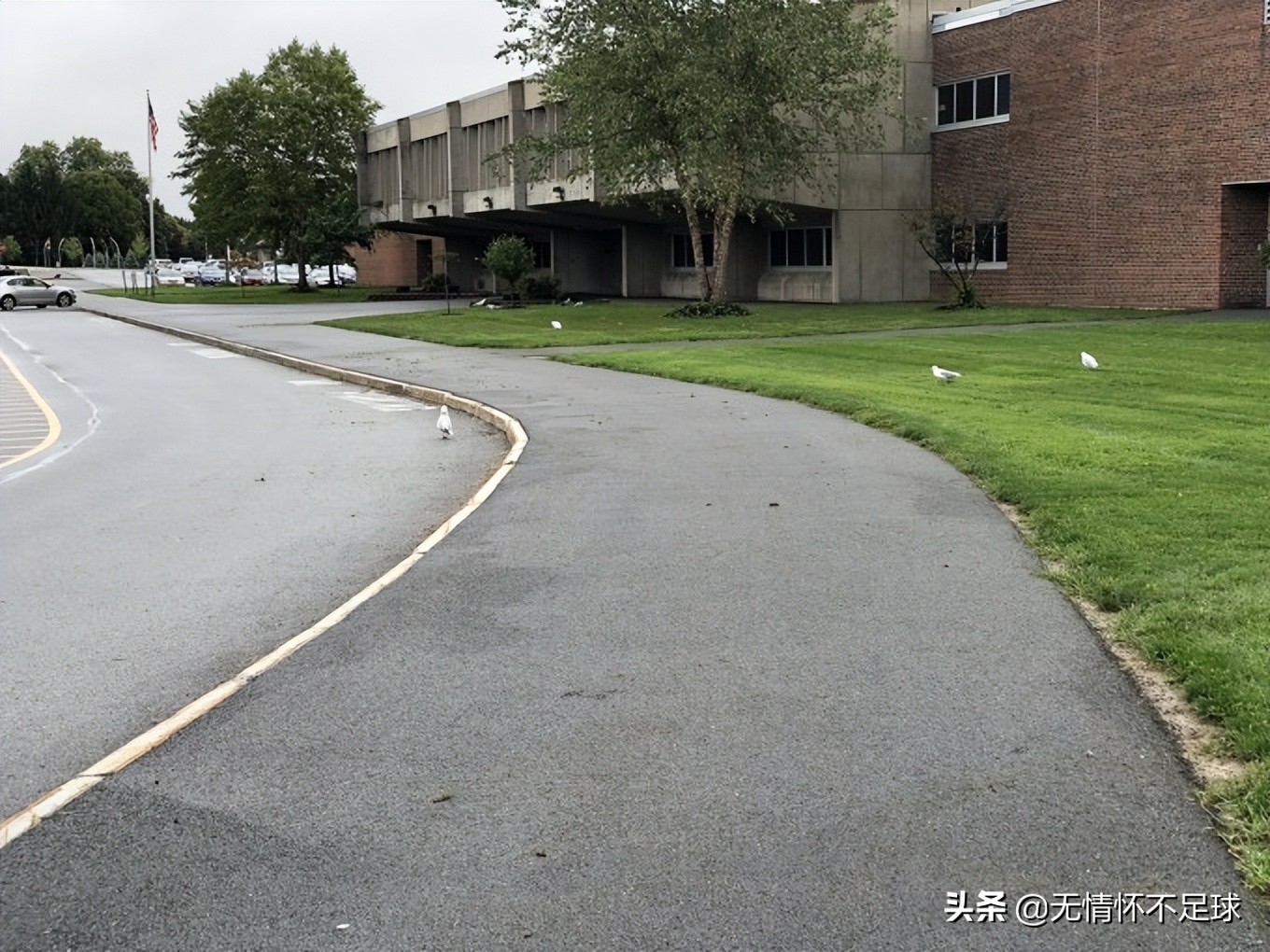 美国纽约东部游介绍,美国东部旅游感受