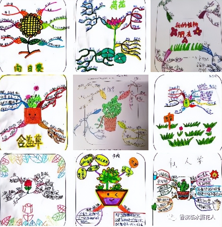 三年级下册语文花钟思维导图简单,三年级下册第13课花钟做思维导图