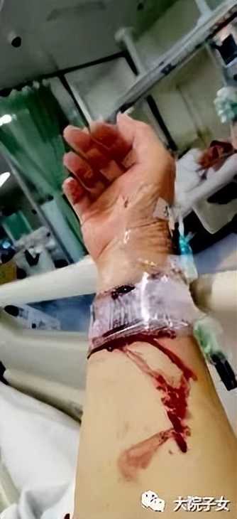 鲁一夫｜（悼念）帅克之死