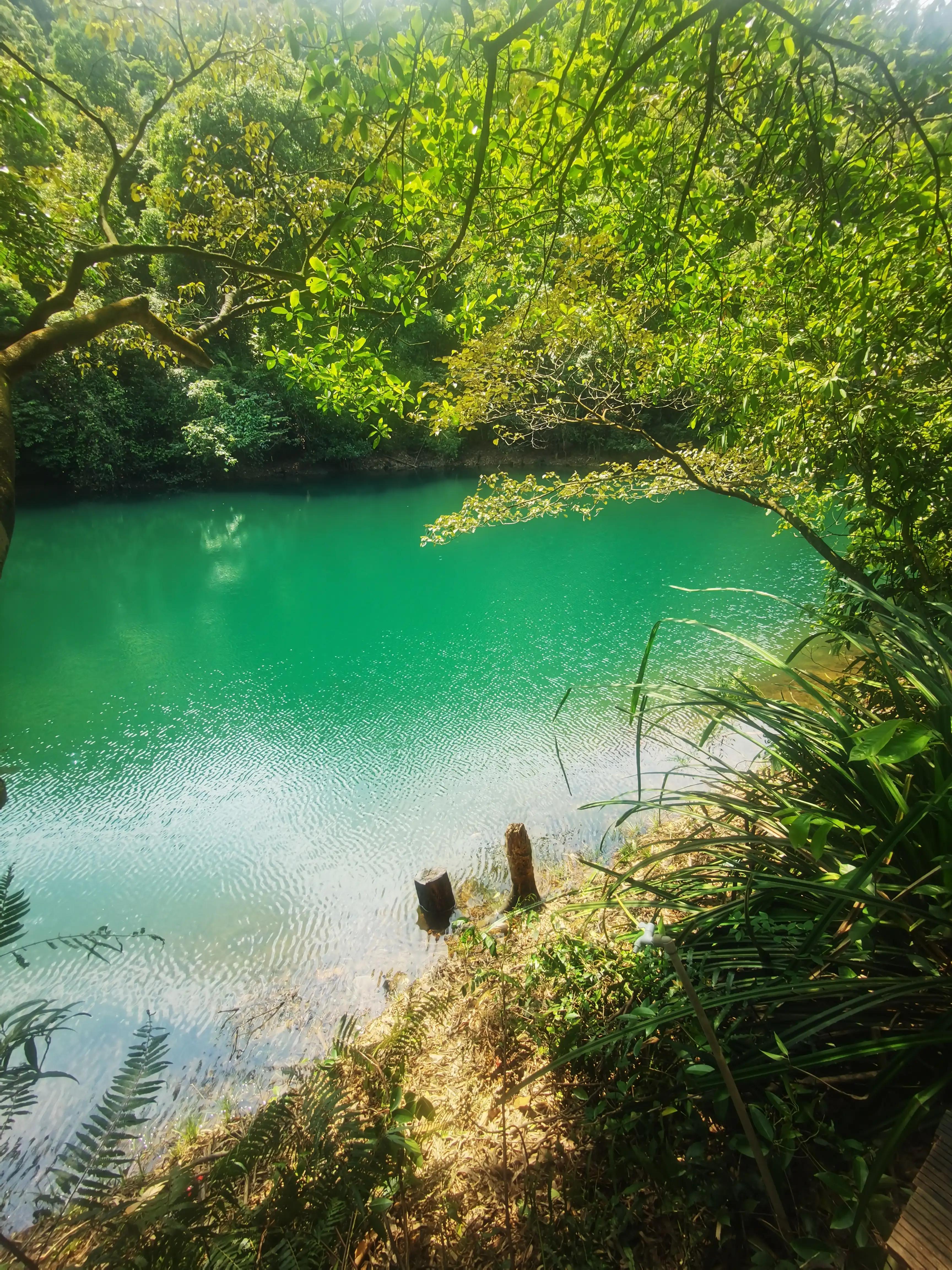 五一推荐去鼎湖山吗,鼎湖五一游攻略