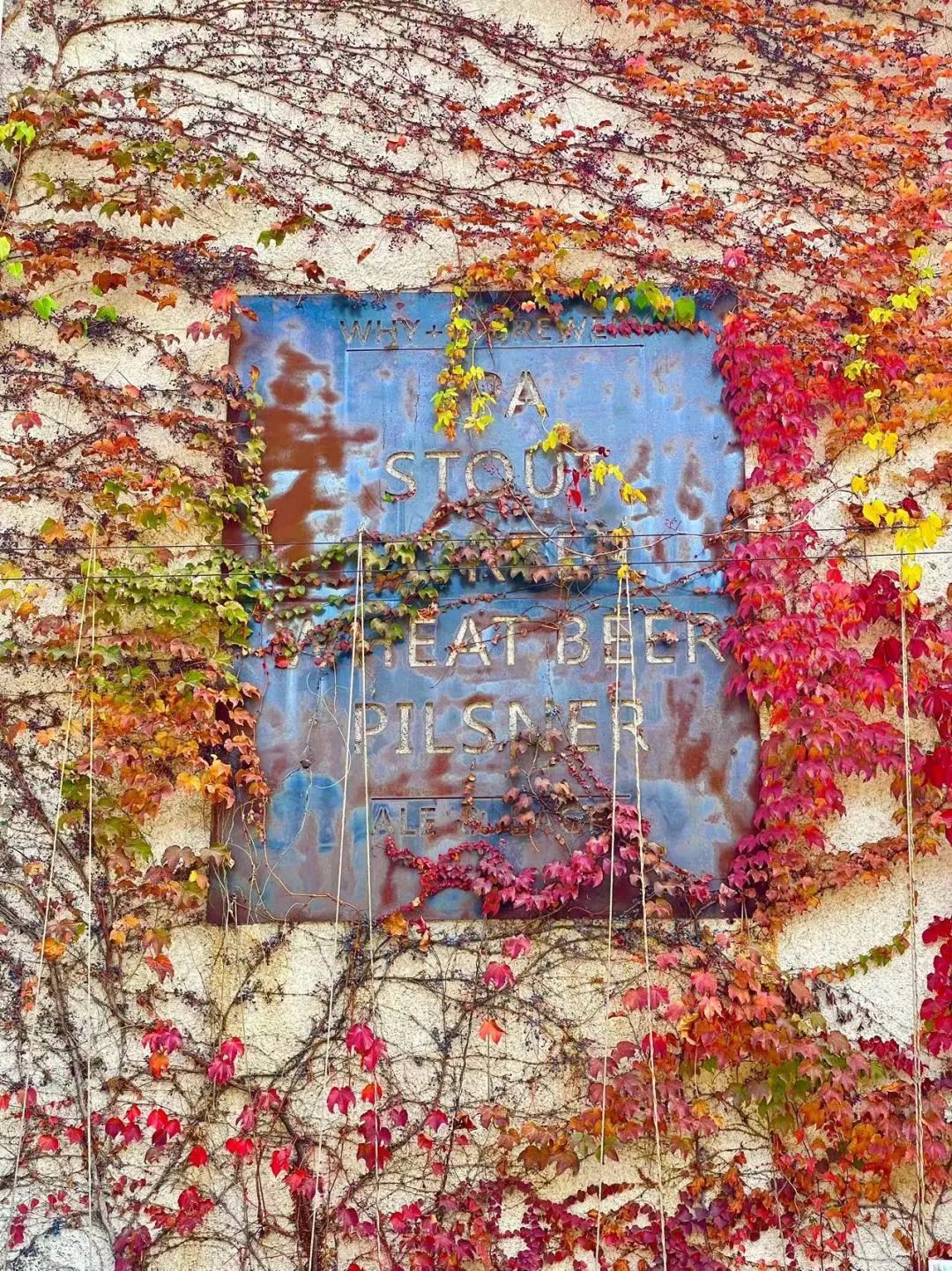 青岛纺织谷旅游攻略,青岛最近纺织谷拍什么