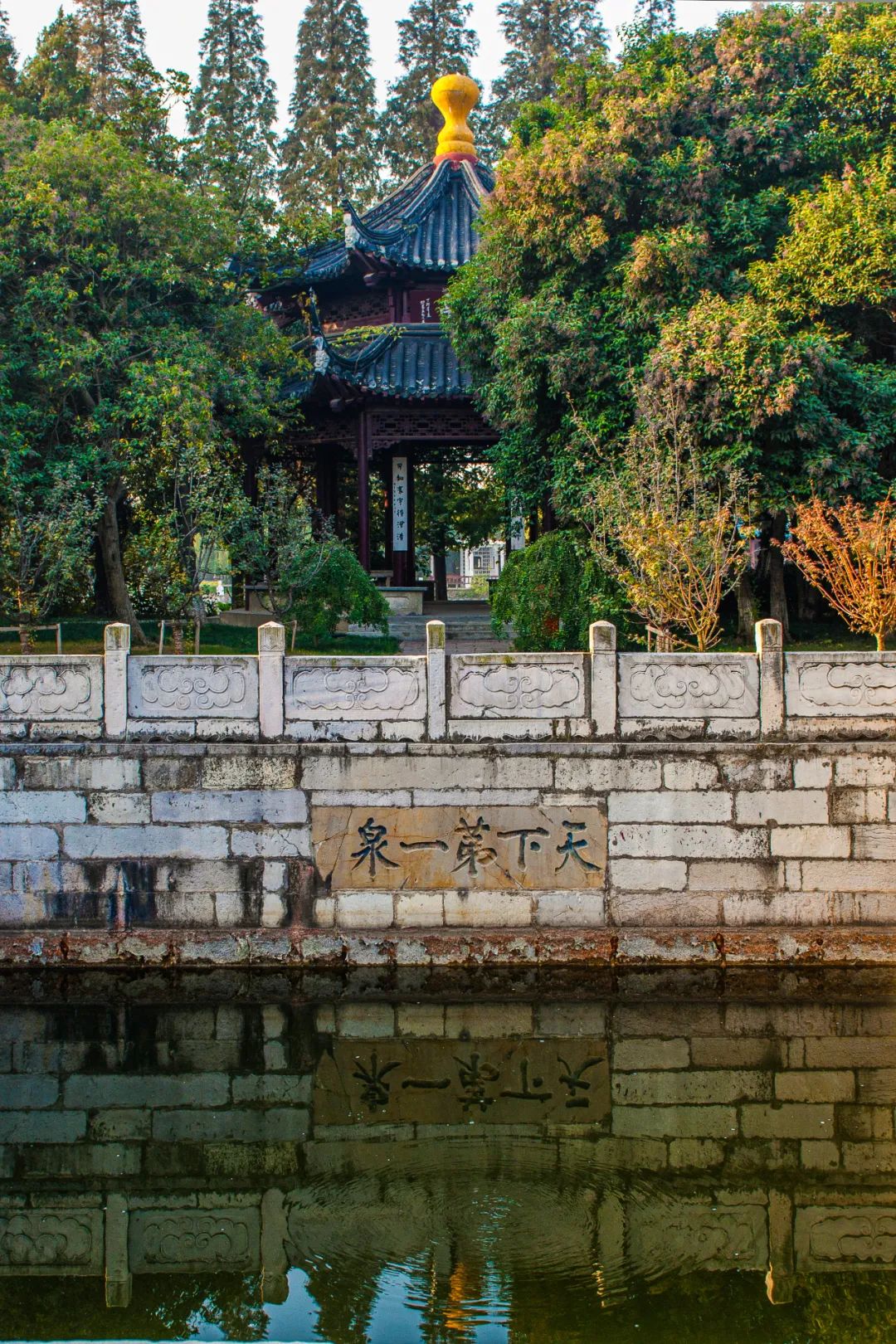 什么牌子水泡茶最好喝,什么牌子的水泡茶最好喝