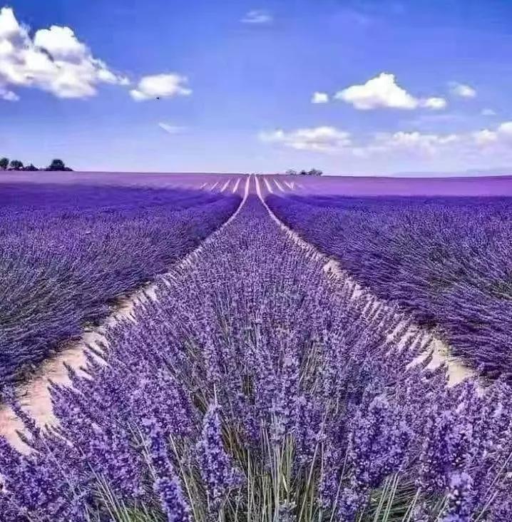 女孩舌战群儒原视频,女子舌战群儒