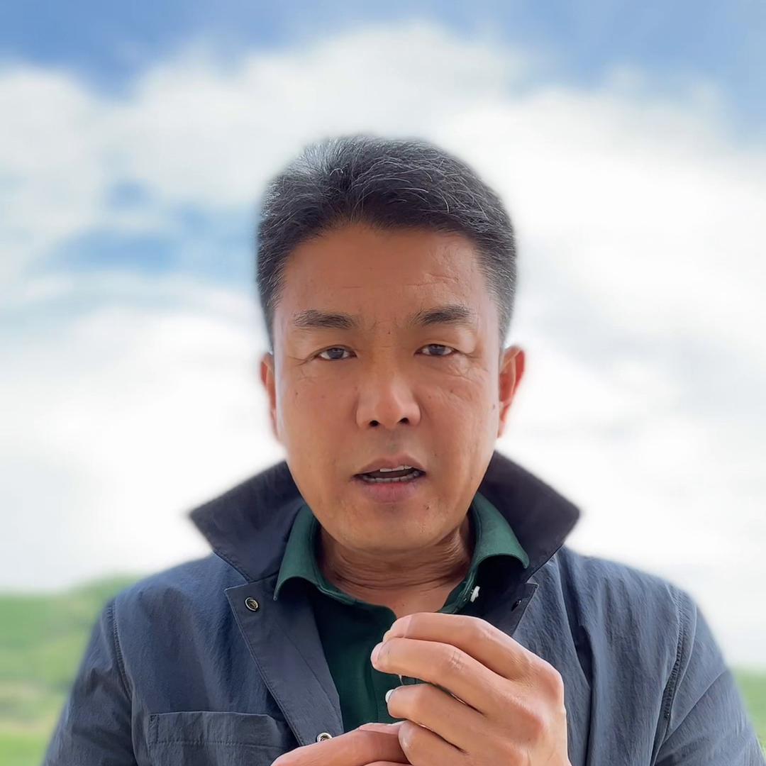 老胡说电影,老胡说车视频