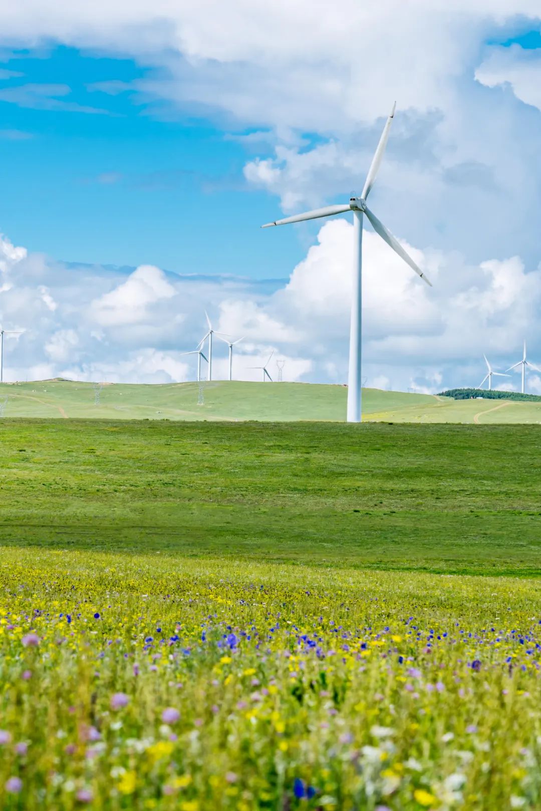 国内七月旅行最值得去的避暑胜地,7月份实惠的避暑地方国内