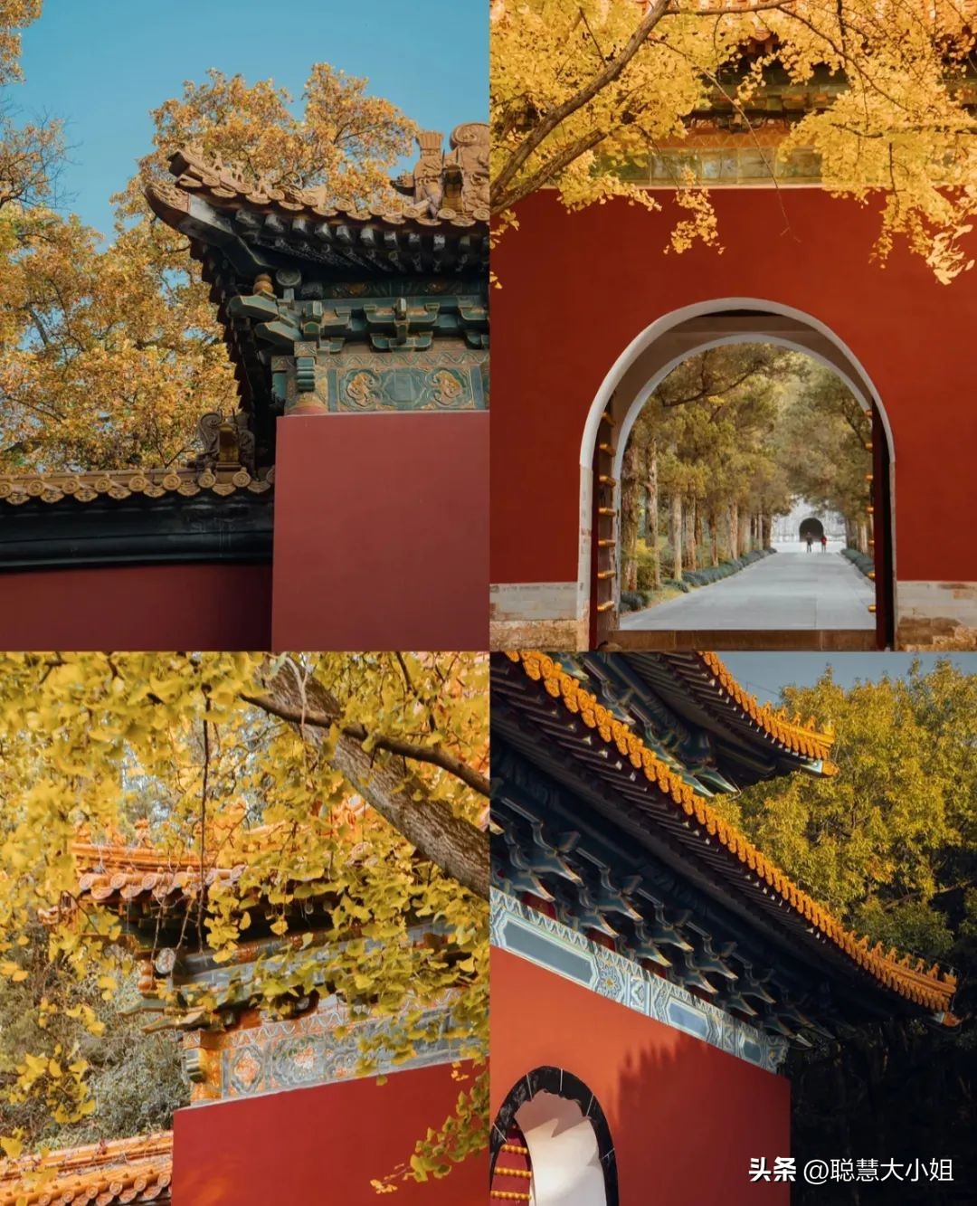 南京赏秋枫叶,南京秋天赏枫叶好去处