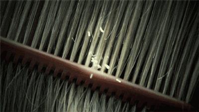 中医养生梳头方法,掌握这四个技巧梳头能养生