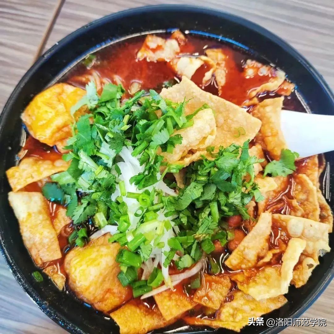 欢迎报考！选择洛师的N个理由