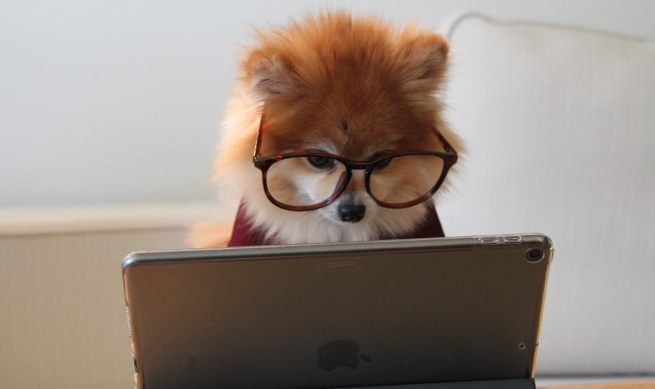 电脑硬件组装diy手册电子版,diy组装电脑了解一下