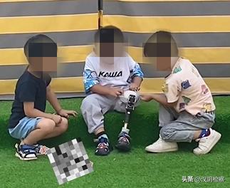 名单公布!西安入选;出行注意!这些列车有调整→【9月15日周四新闻速览一分钟】