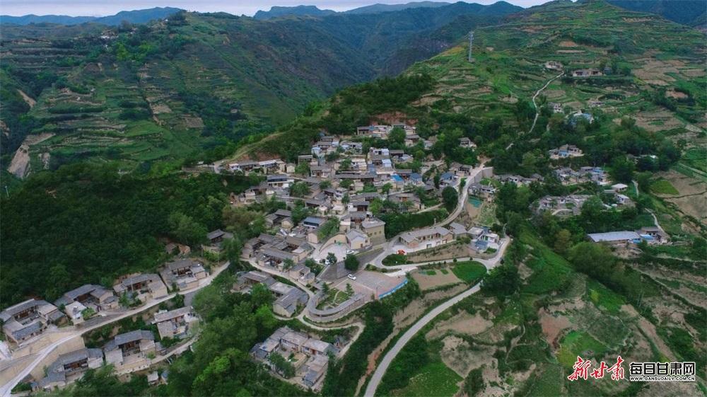 武都花椒生产成本不断攀升的原因,武都花椒原产地