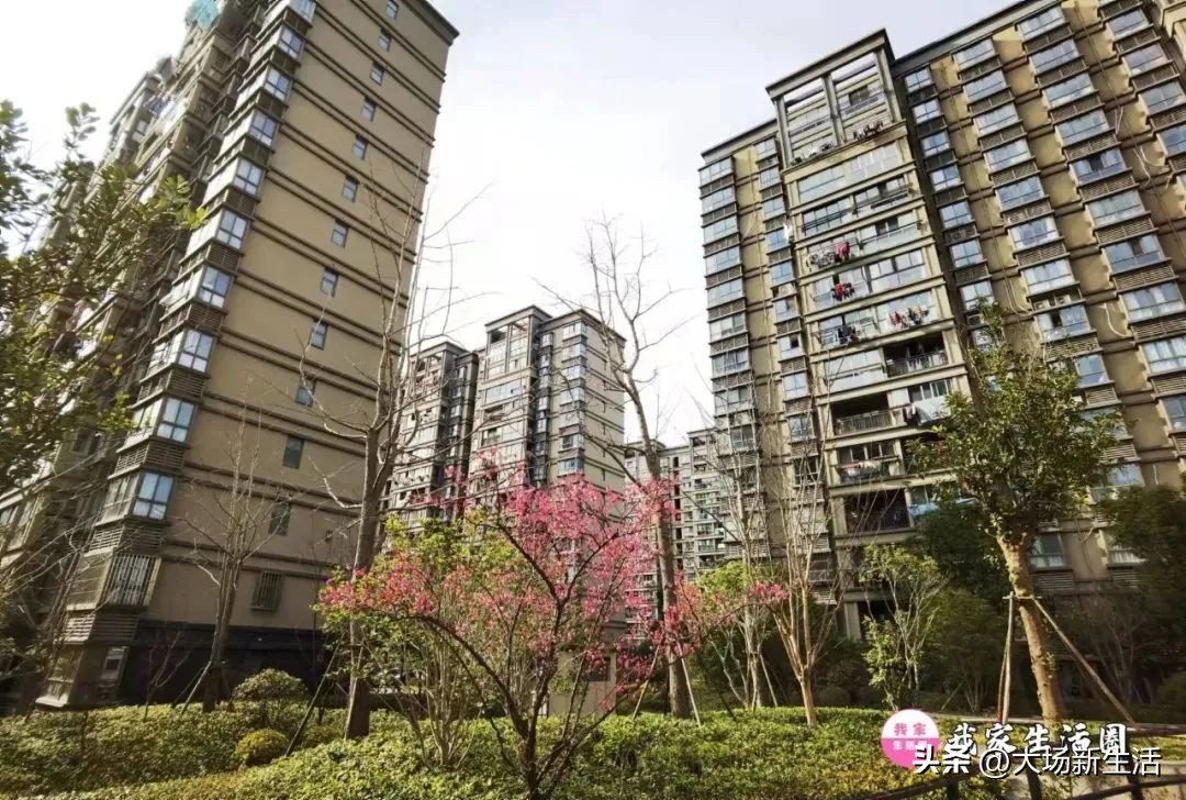 经纬学府阳光六期,经纬学府阳光家园