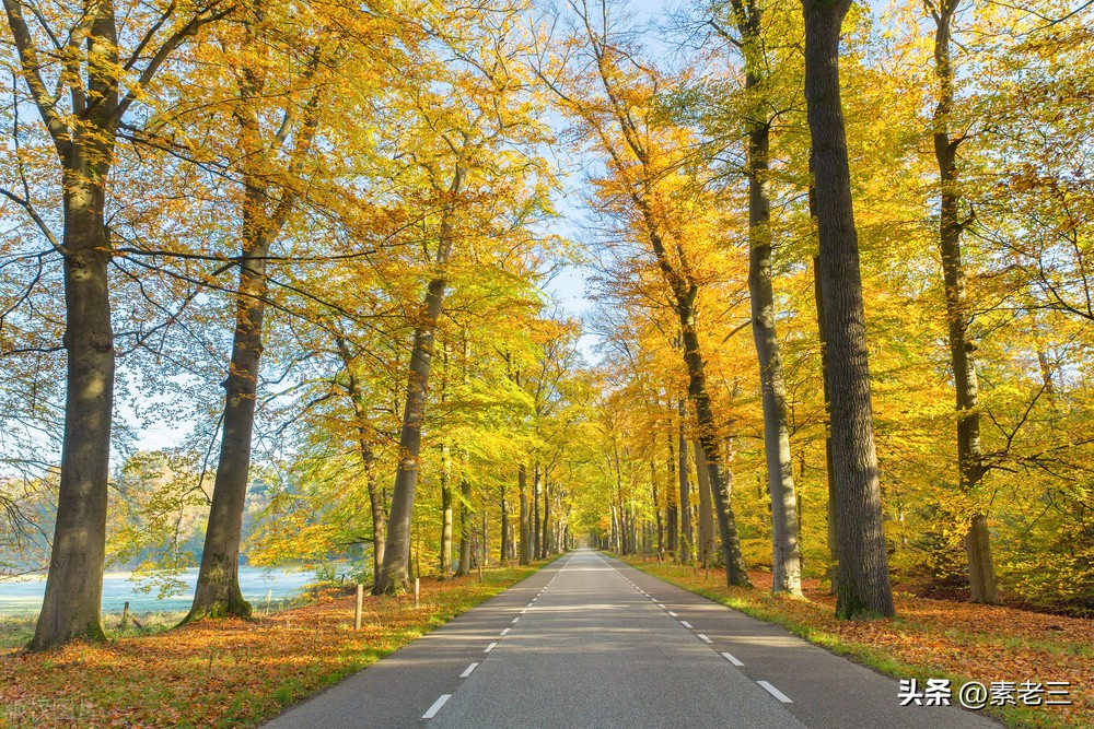 女作家去做保姆517,女作家去做保姆最新篇文章