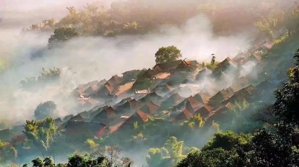 罗莱夏朵香缇,罗莱夏朵探店