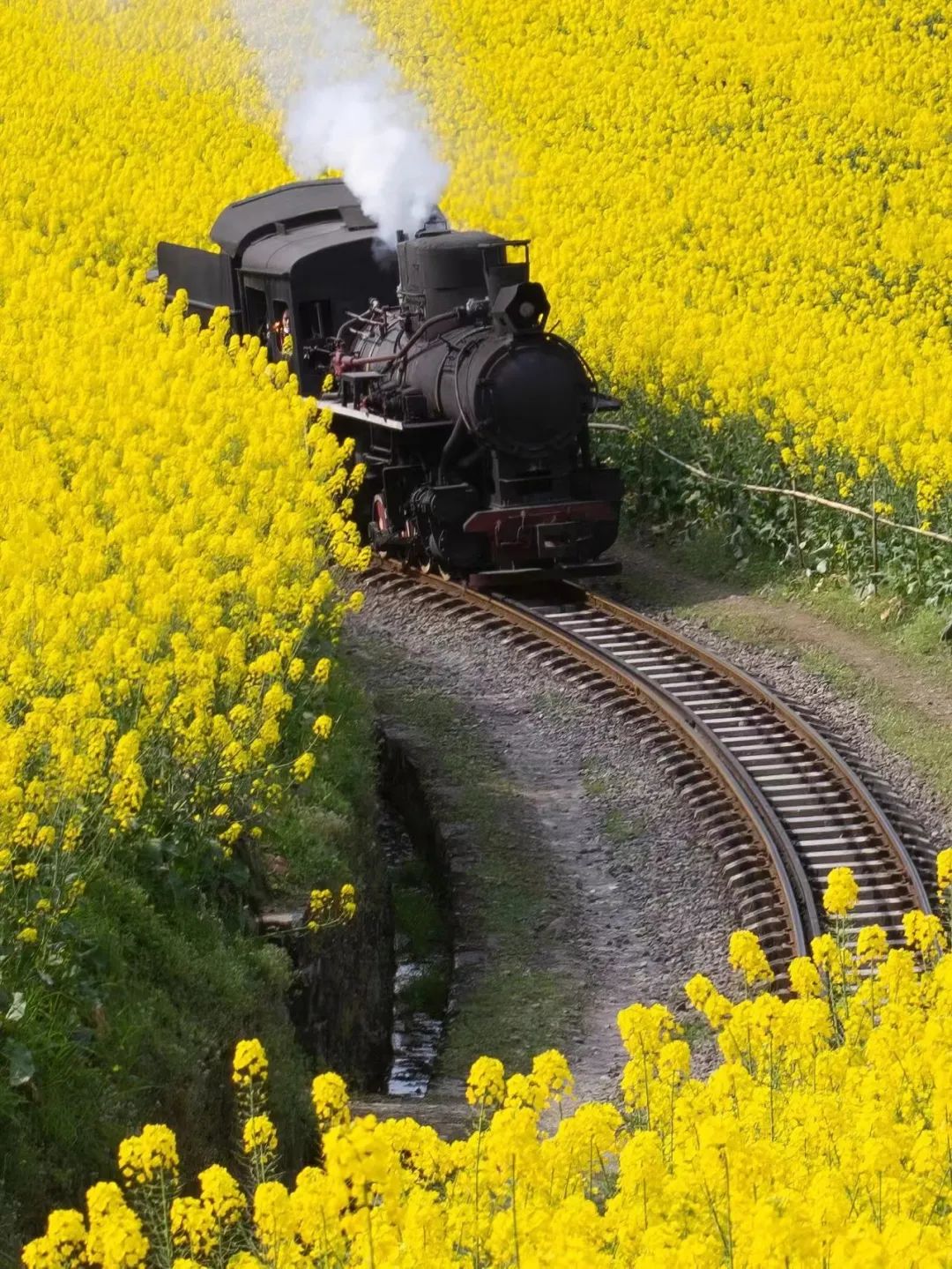 清明不用爬山游玩的地方,清明不踩坑的游玩推荐