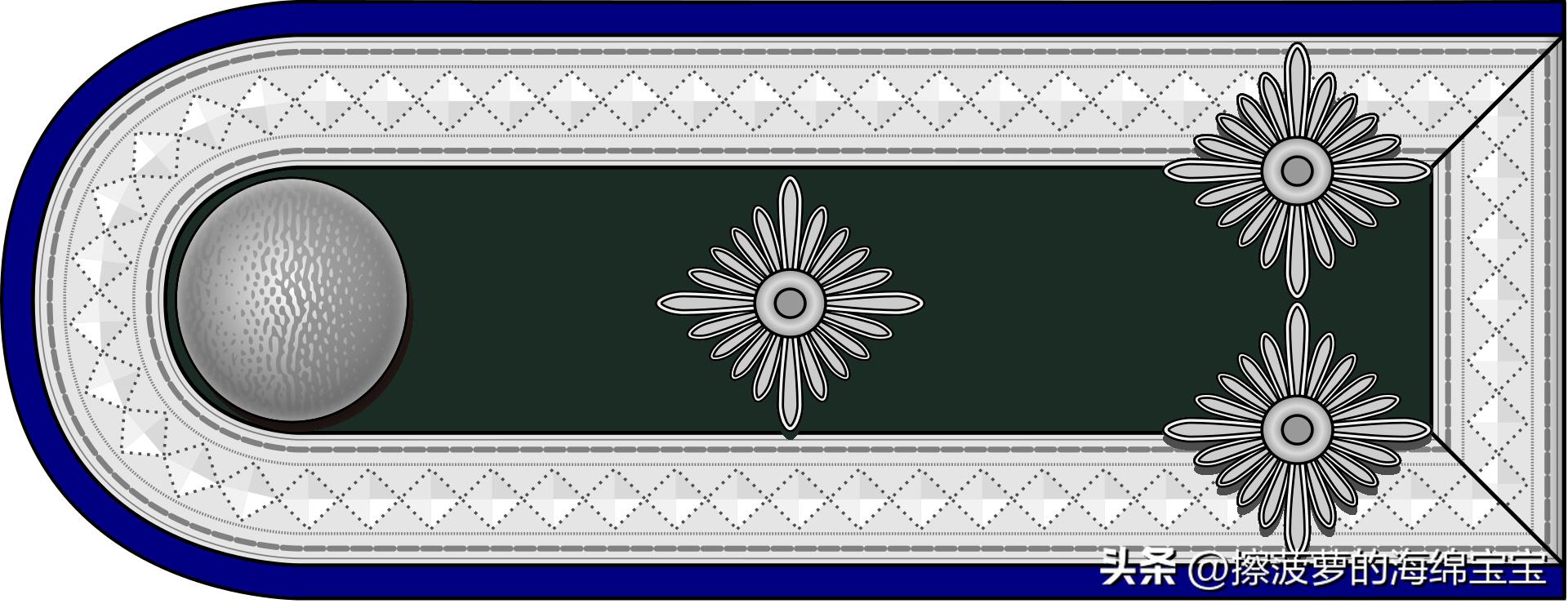 二战德国国防军医疗兵军衔标志