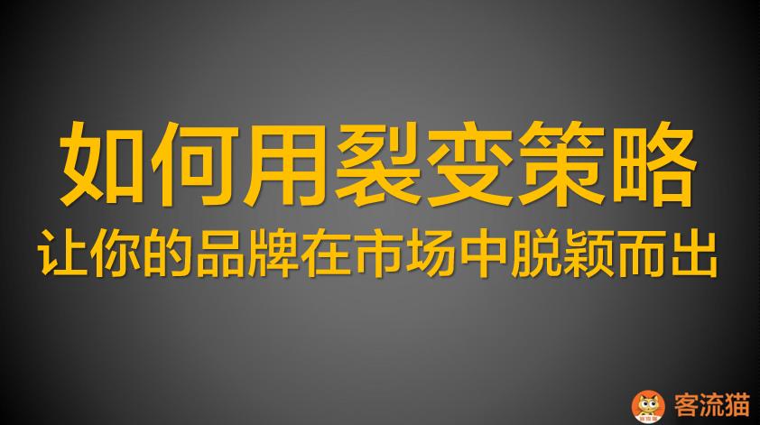 客流猫：招商新思路，如何用裂变策略让你品牌在市场中脱颖而出？