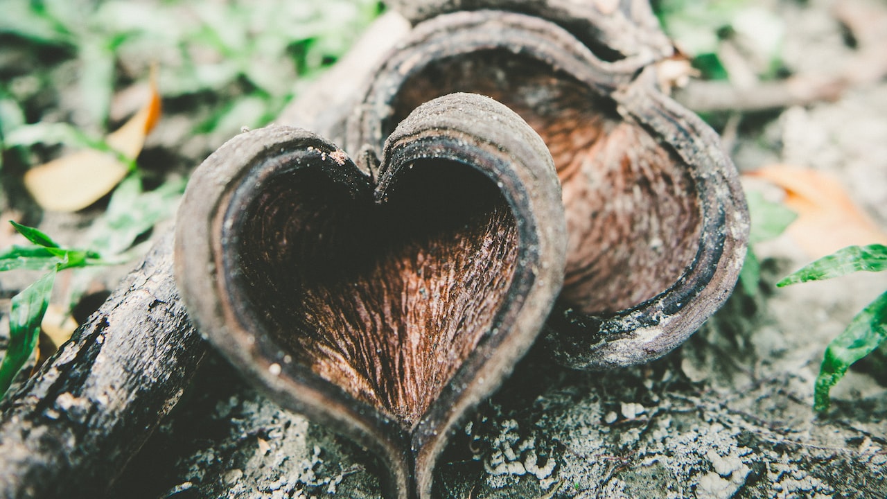 男女之间什么是最亲密的关系,男女之间谈恋爱要有亲密关系