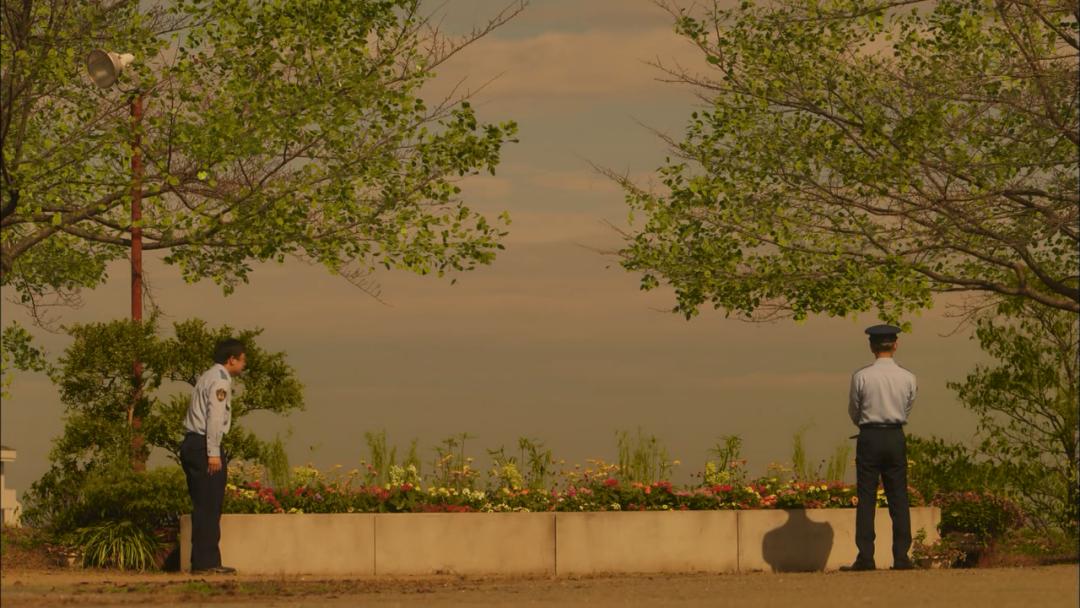 5年来，我所亲历的那些罪案