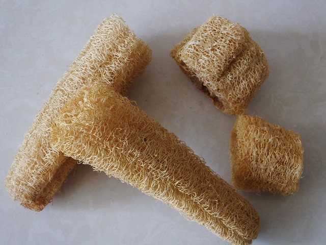 祛风湿中草药功效大全一览表,祛风湿的中药特效药