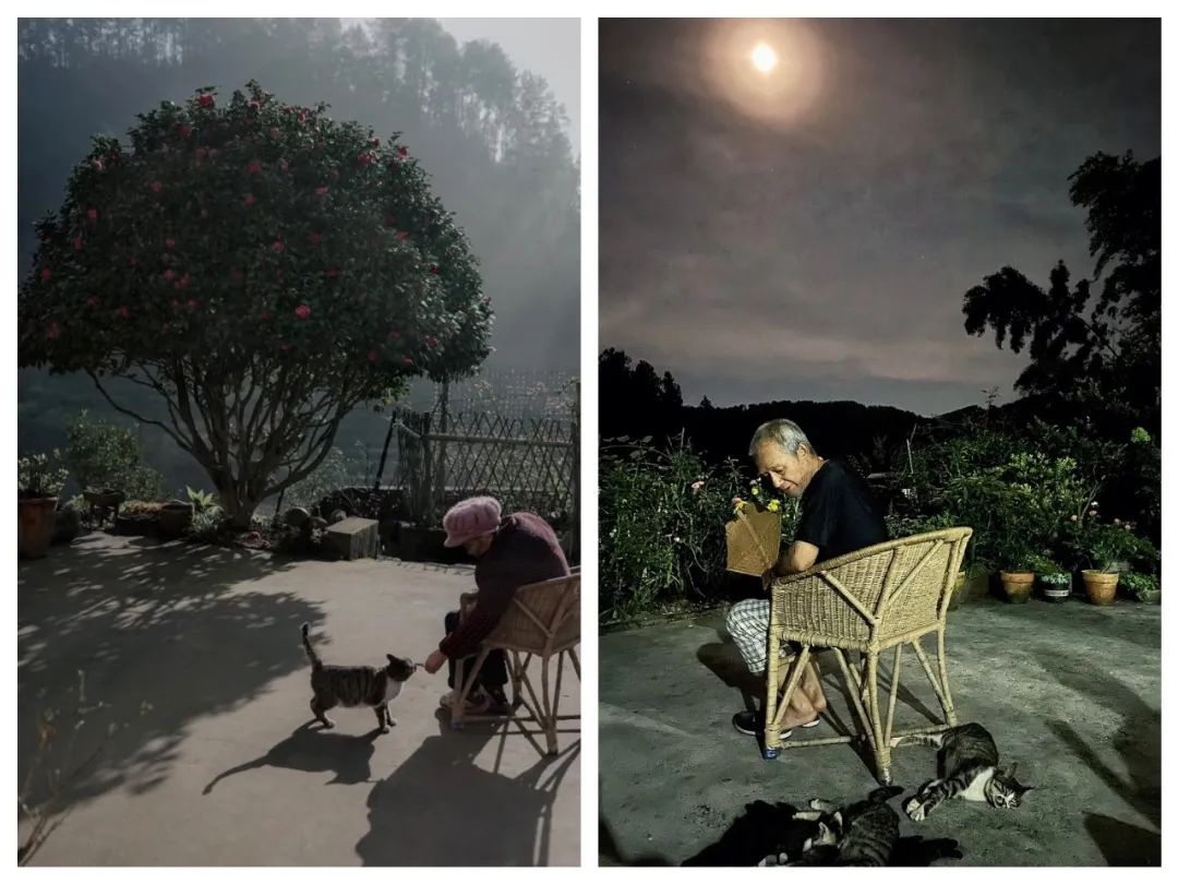 四个人回老家改造老房子,90后回农村建房子视频