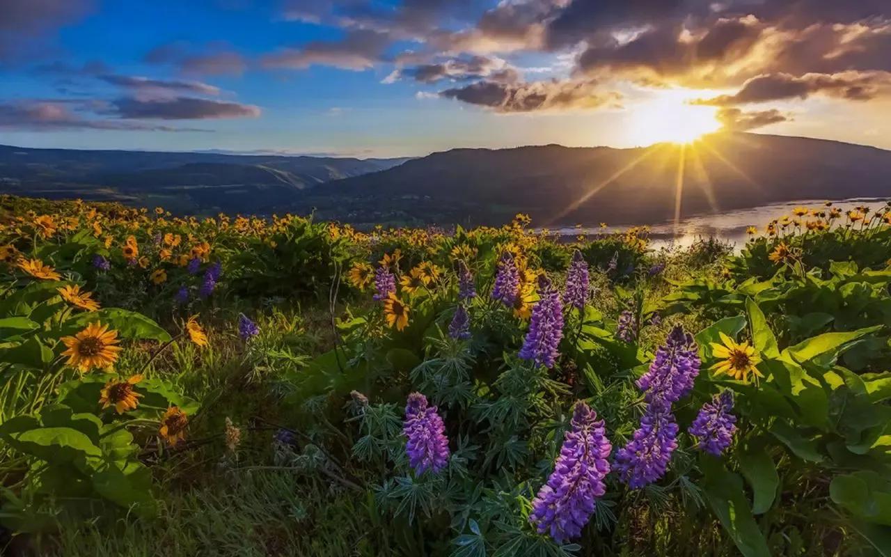 如何涨粉的秘诀和技巧,如何涨粉教程新手入门