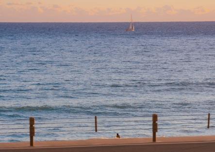 江苏省内985高校综合评价有哪些,各985大学录取分数江苏