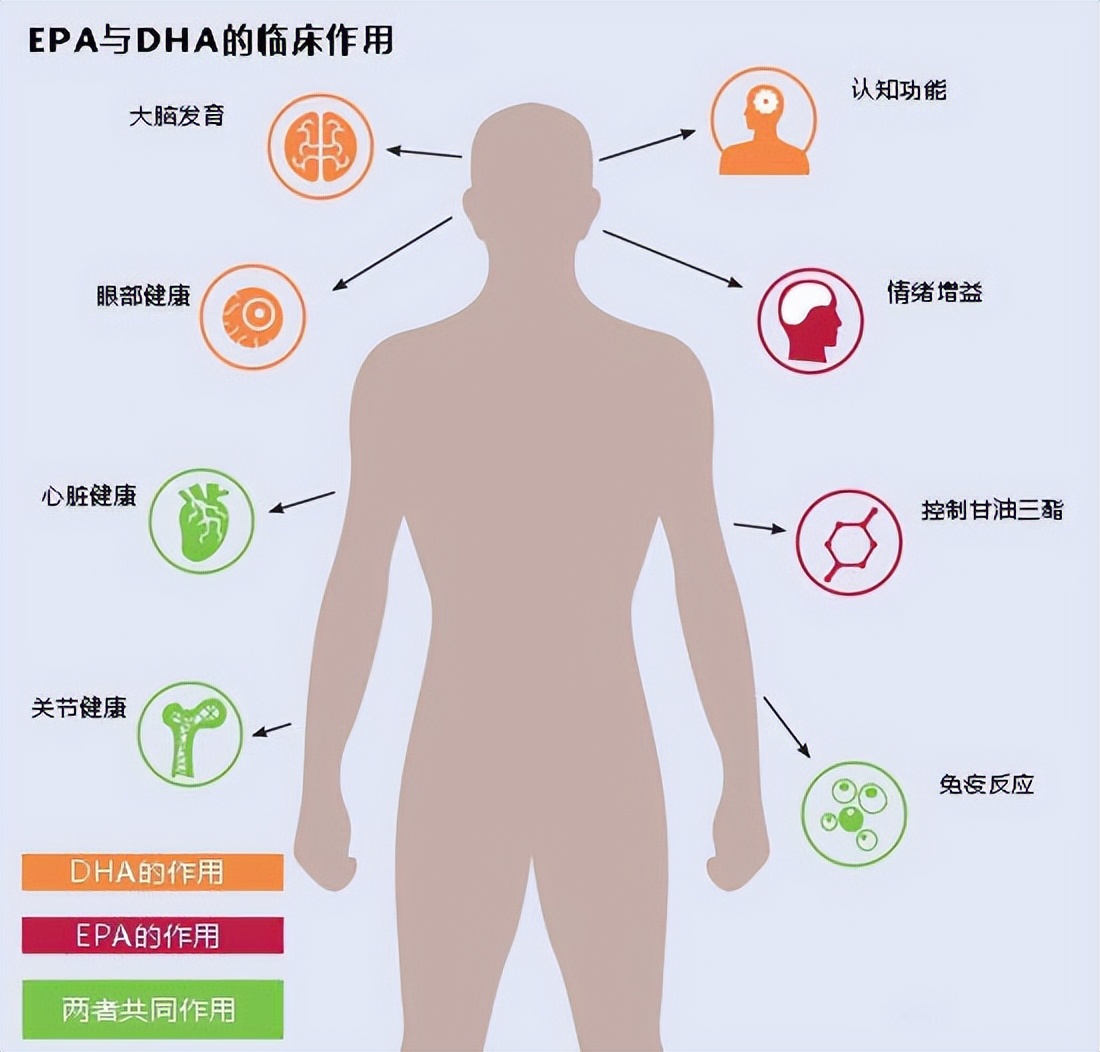 多吃Omega-3，不仅对孕妈好，还能帮助解决失眠