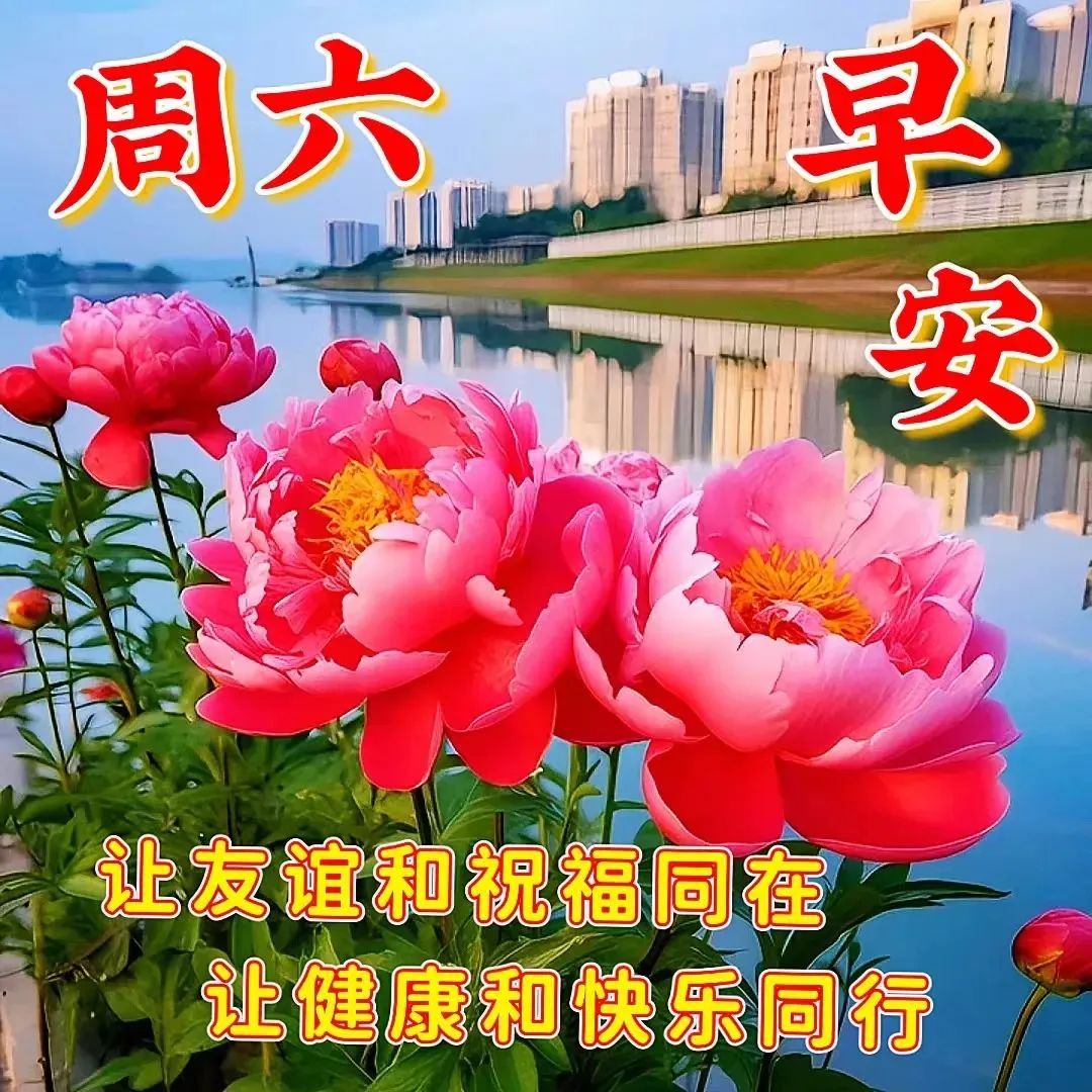 新的一周早安正能量句子图文,早安语录大全图文