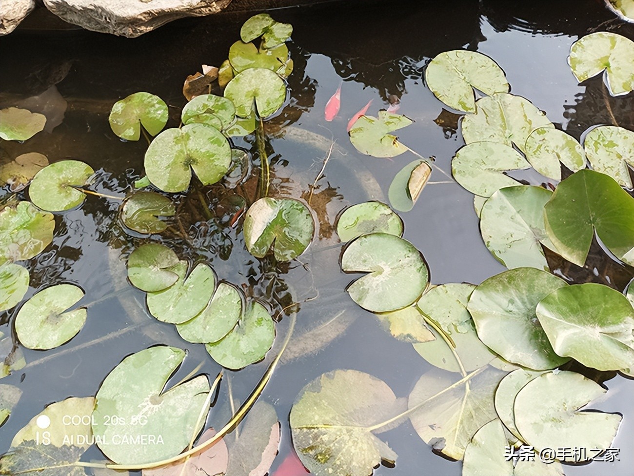 酷派cool20s5g手机音质,酷派cool20深度评测