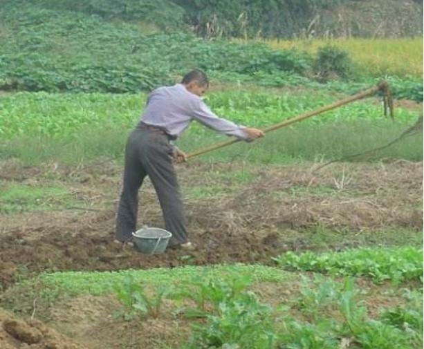 1999年山东一小贩卖毒冰棍，12个孩子无辜死亡，真凶逃亡15年被抓