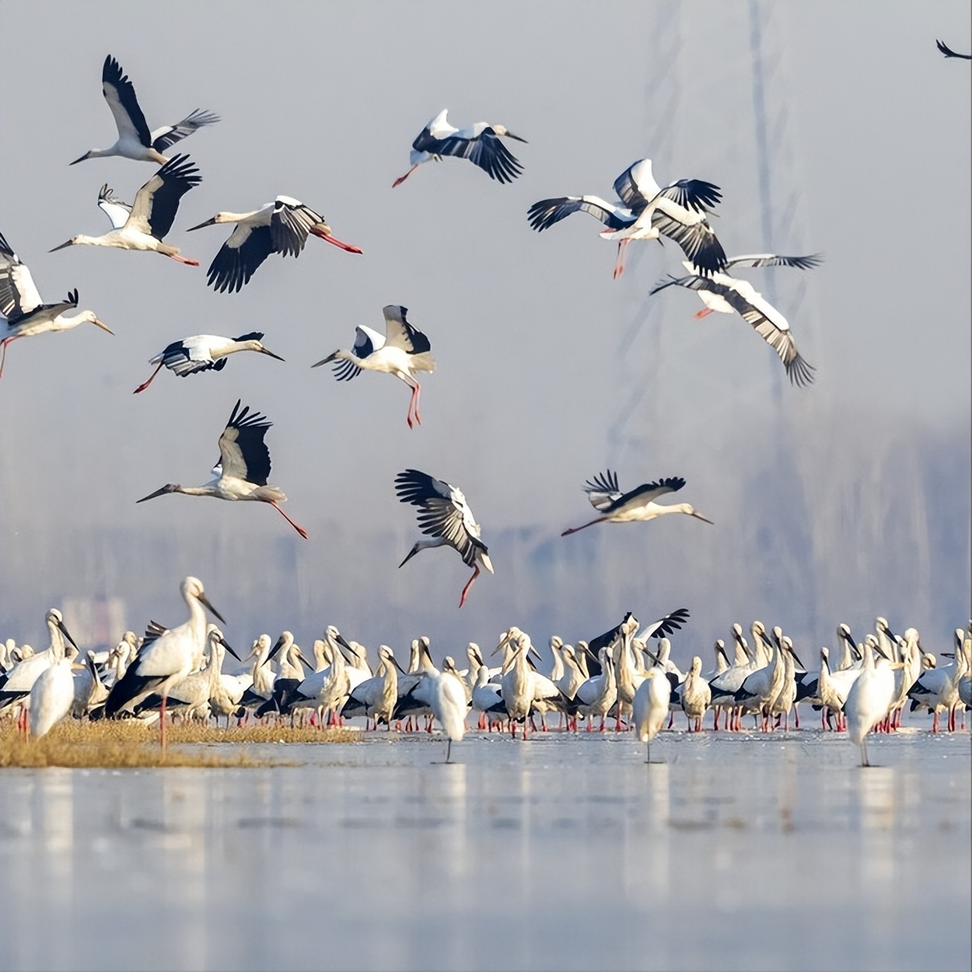 如果有人打母亲我打他算防卫吗,青少年叛逆动手打妈妈怎样处理