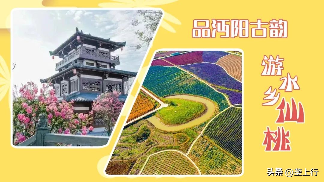 湖北春季赏花攻略十大赏花路线,叮你有一份礼物请查收音频