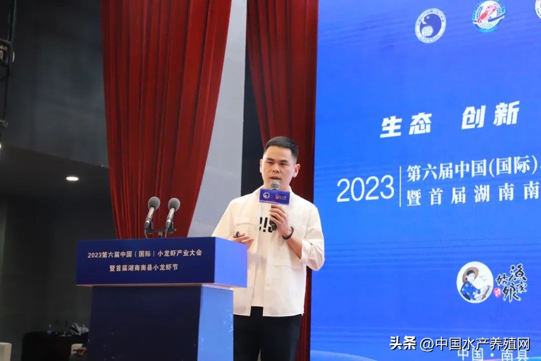 2023年南县小龙虾价格行情,南县小龙虾价格报价