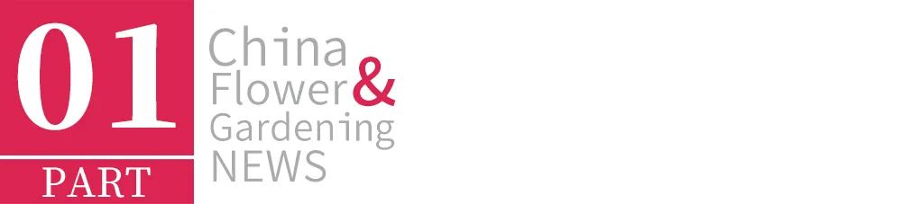 园艺电商怎么做好营销工作,园艺电商怎么做好营销