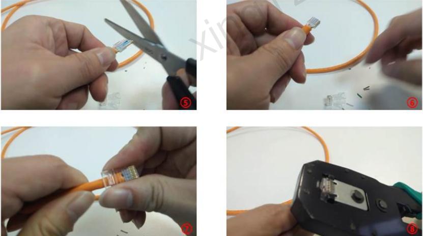 水晶头接线标准示意图,水晶头端口正确接线方法