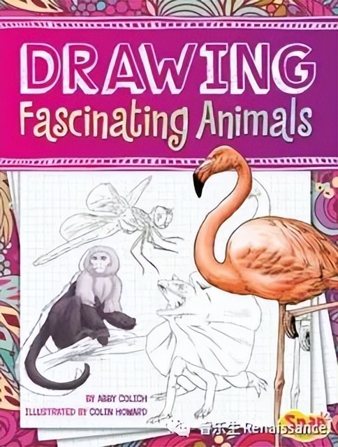 中小学英语书单,中高年级课外阅读英语