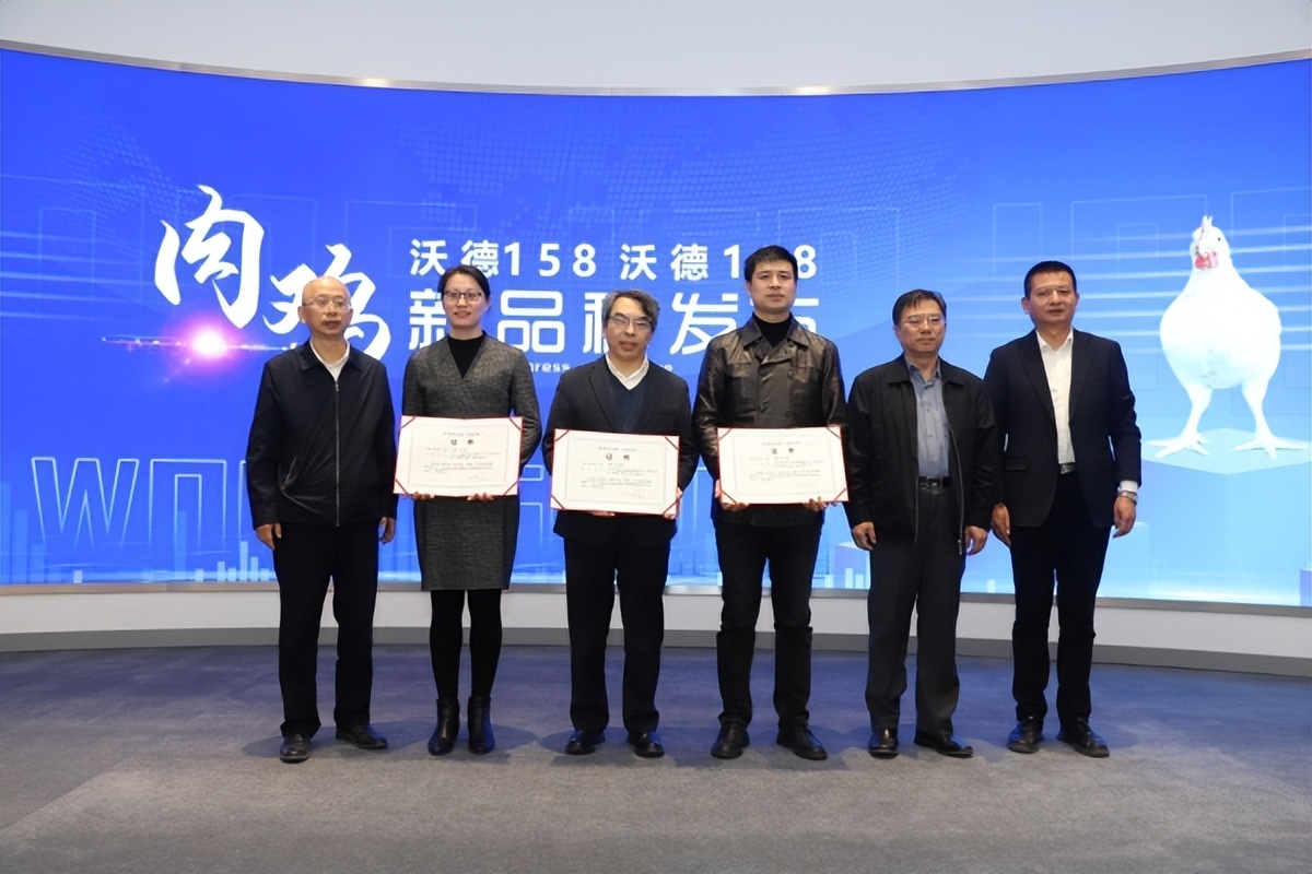 何为中国农业大学？举农为本，一“曲”传四海，“辰”光遍神州！