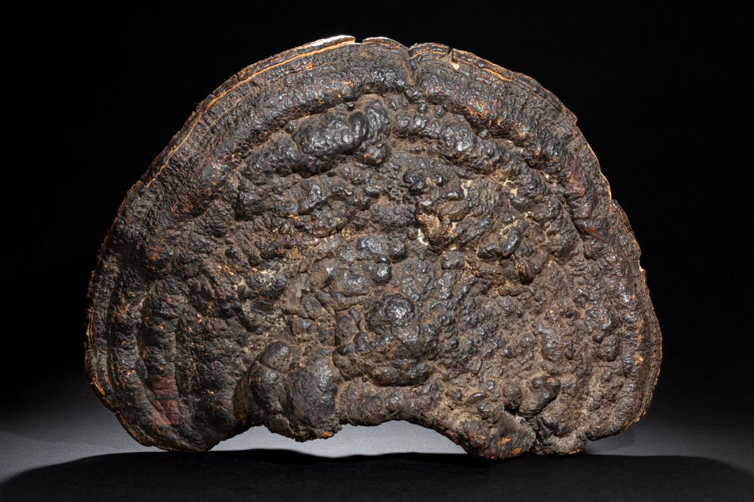 明永乐青花缠枝莲纹大碗拍卖,宣德青花缠枝牡丹纹菱口碗