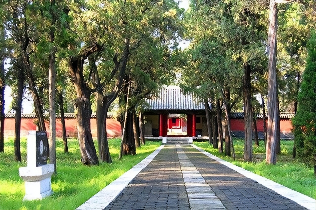 山东孔林存在2400年,周围不见乌鸦蛇鼠,只因林中有这两样东西