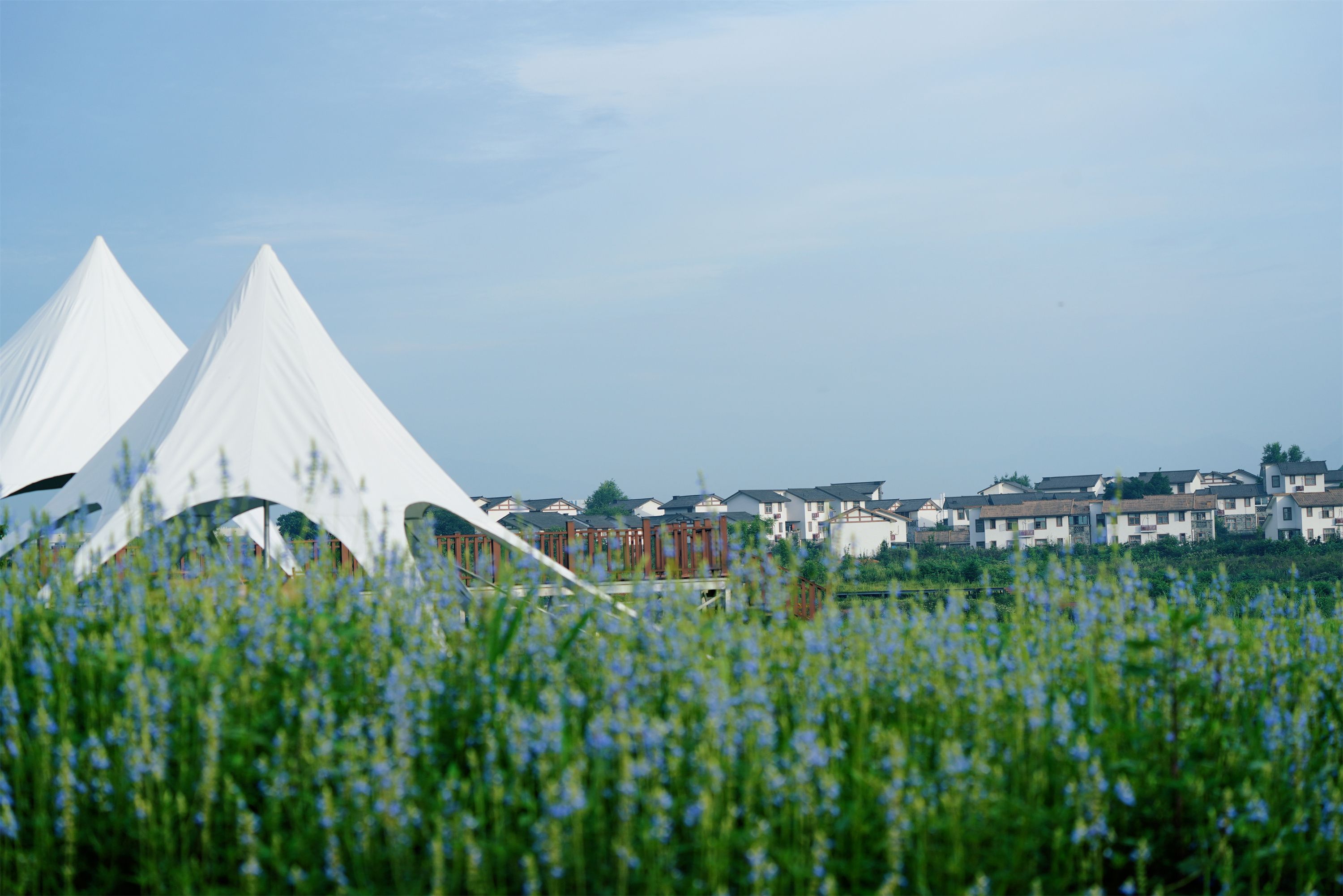 城市更新观后感,城市发展新变化的感想