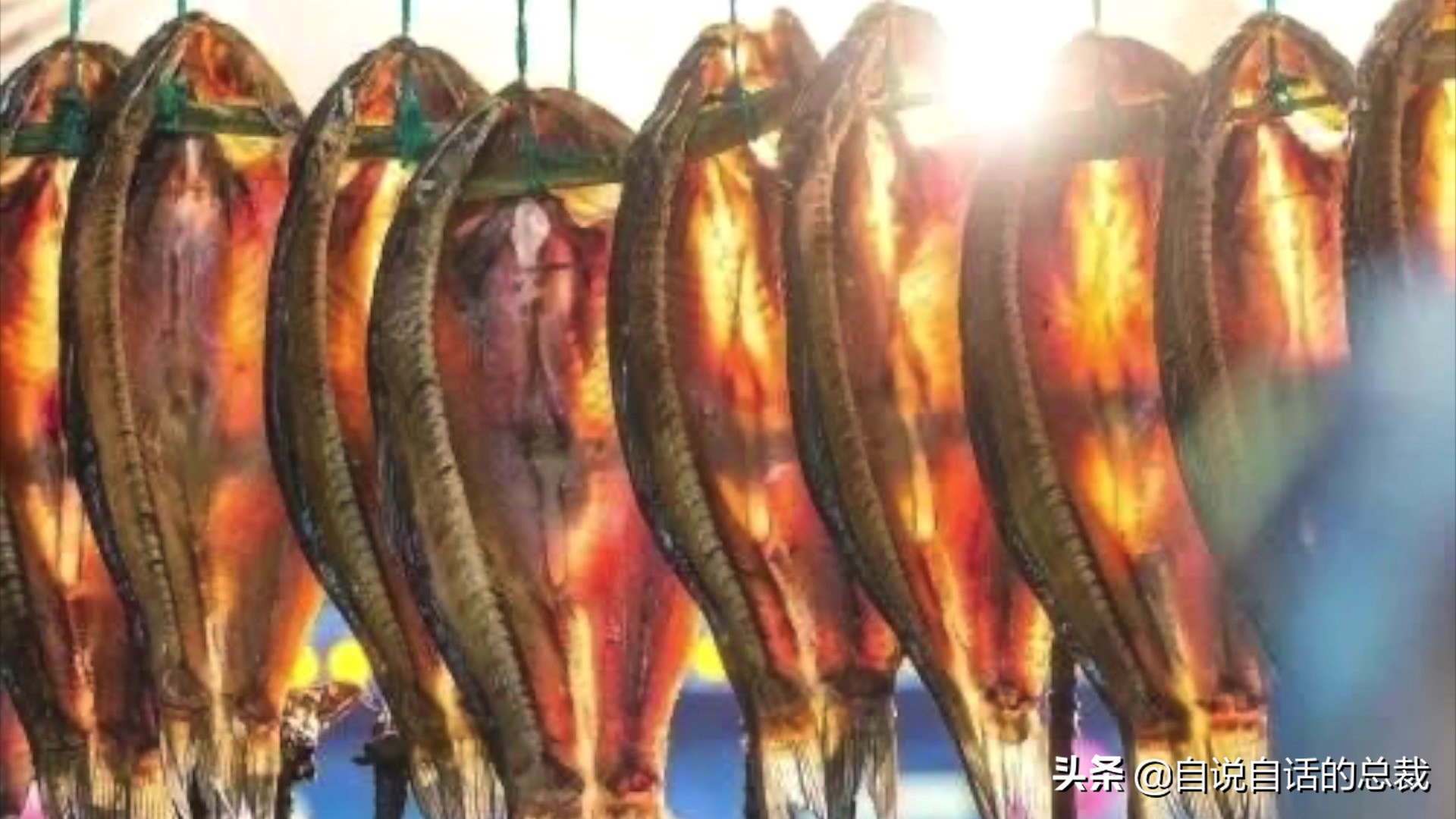 目前野生大黄鱼为什么这么贵,大黄鱼最贵价格多少钱一斤