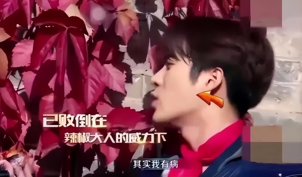 王嘉尔高甜宋雨琦,王嘉尔宋雨琦多甜