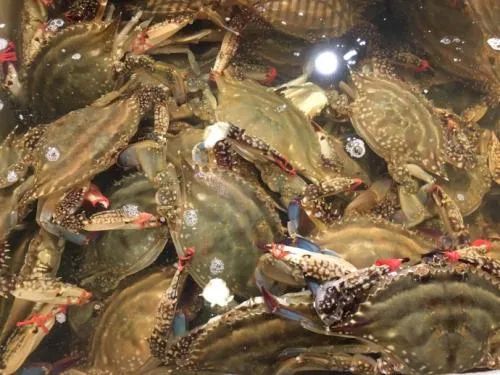 北京东四清真美食,东四有什么好吃的