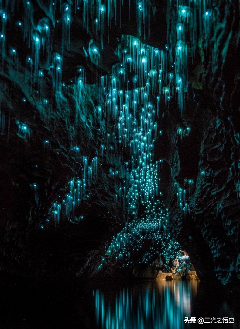 孤悬海外的新西兰，闷声发大财的最好代表