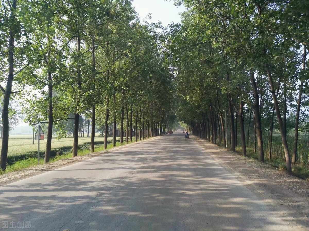 离离原上草一岁一枯荣的翻译,离离原上草一岁一枯荣诗句的意思