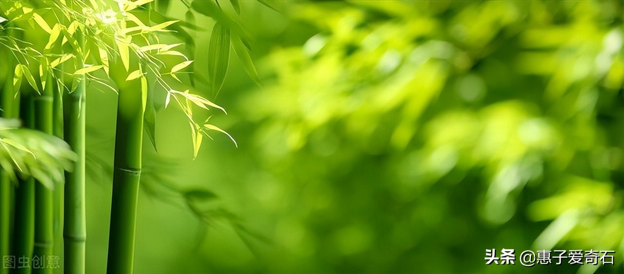 赞美花中四君子的古诗有哪些,赞美花中四君子的诗句