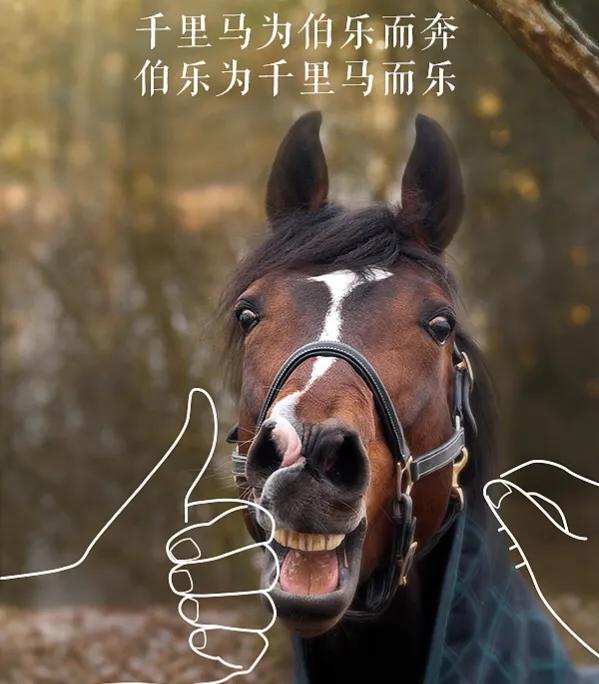 中国足球注册球员人数查询,足球注册人口有哪些