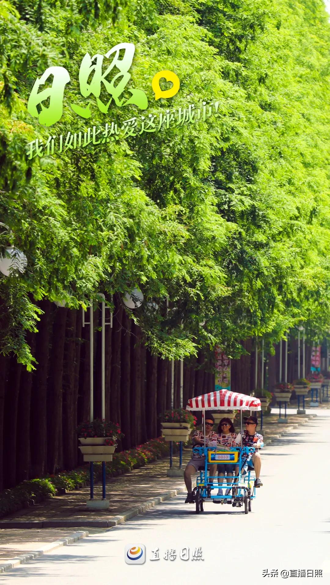 我们如此热爱日照配音,我们如此热爱日照图片